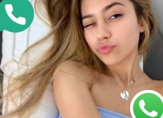 Ivanita Lomeli Phone Number
