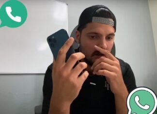 Tow Piglet Phone Number