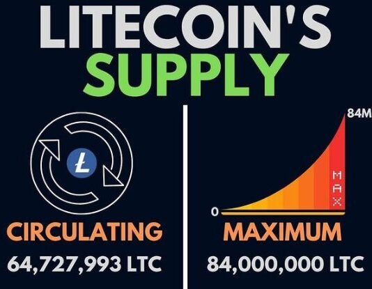 Litecoin Net Worth