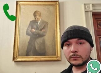 Tim Pool Phone Number