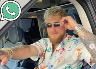 Jake Paul Phone Number