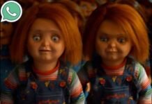 Chucky Phone Number – Email, WhatsApp, Contact, Address Chucky Phone Number