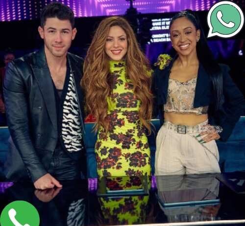 Nick Jonas Phone Number