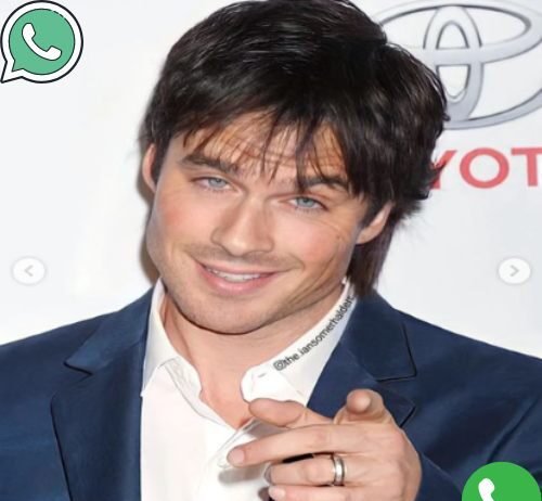 Ian Somerhalder Phone Number