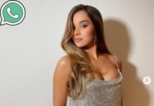 Hailee Steinfeld Phone Number