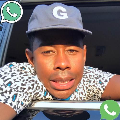 Tyler The Creator Phone Number, Email, Address, Contact