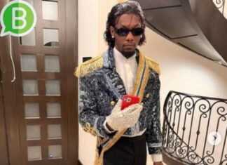 Offset Phone Number