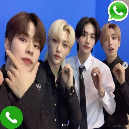 What Is Stray Kids Phone Number?