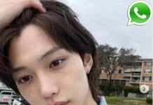 Felix Phone Number – Email, Address, Contact Felix Phone Number