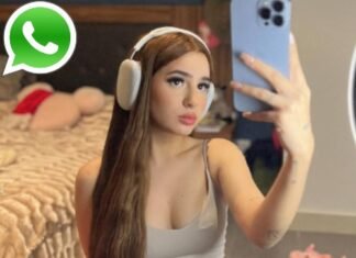 Domelipa Phone Number