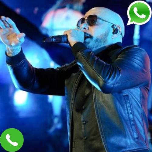What is Pitbull Phone Number?