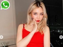 Wengie Phone Number