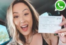 LaurDIY Phone Number