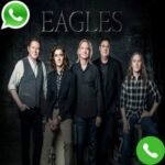 Eagles Phone Number