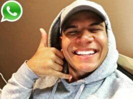 Wolfieraps Phone Number