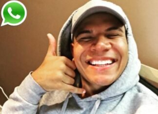 Wolfieraps Phone Number
