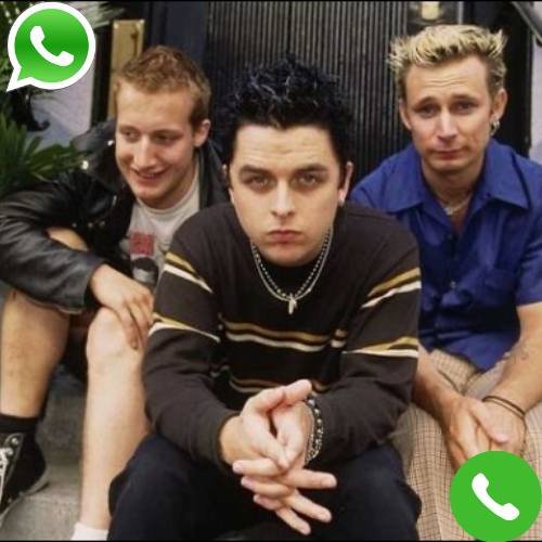 What is Green Day Phone Number?