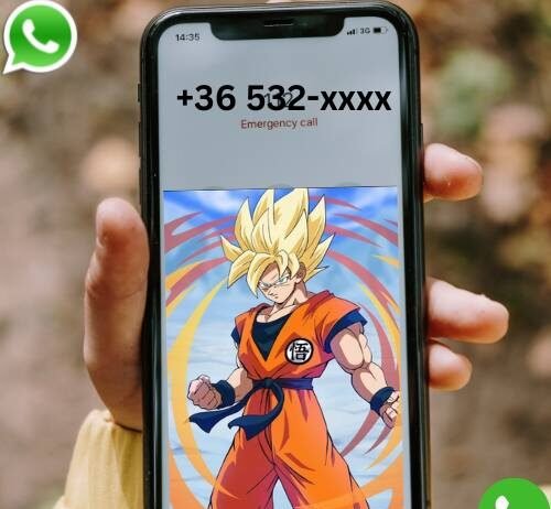 Goku Phone Number
