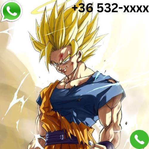 What is Goku Phone Number?
