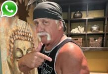 Hulk Hogan Phone Number – Email, Address, Contact Hulk Hogan Phone Number