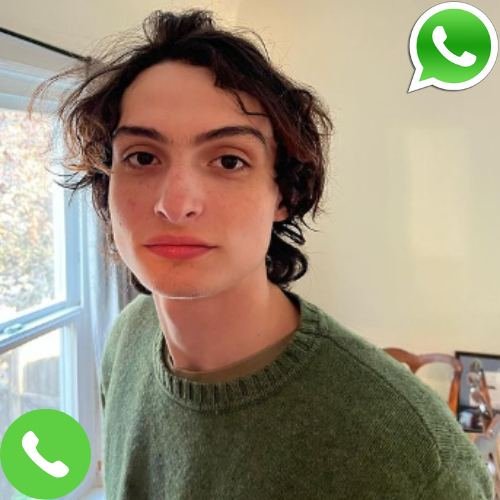 What is Finn Wolfhard Phone Number?