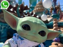 Yoda Phone Number