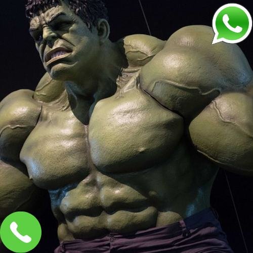 What is The Hulk Phone Number?