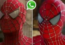 Spiderman Phone Number