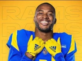 Allen Robinson Net Worth