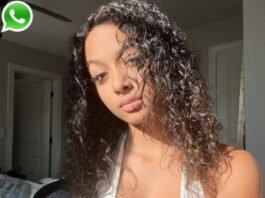 Lexi Vee Phone Number 