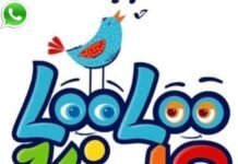 LooLoo Kids Phone Number