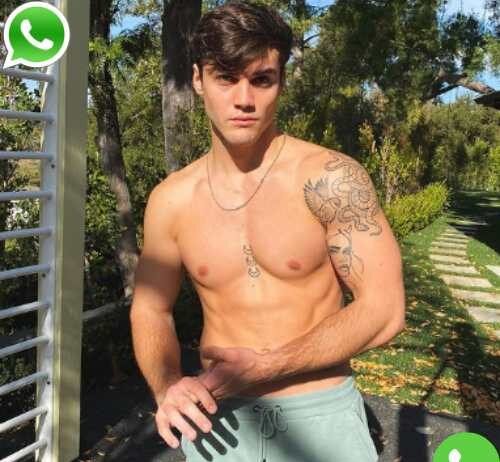 Grayson Dolan Phone Number