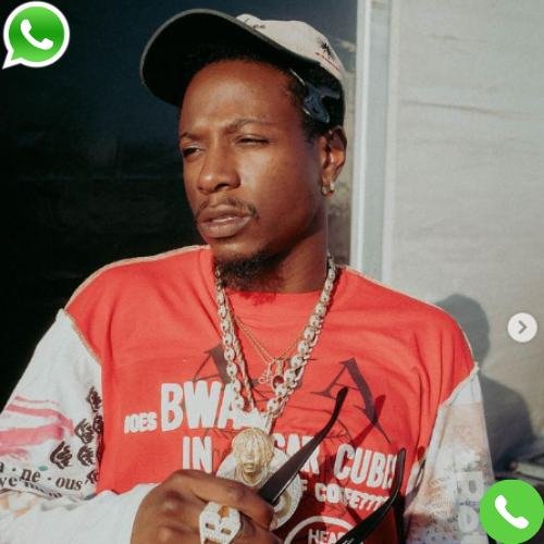 What is Joey Badass Phone Number?