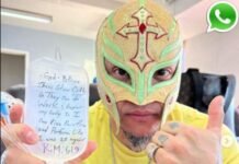 Rey Mysterio Phone Number – Email, Address, Contact Rey Mysterio Phone Number