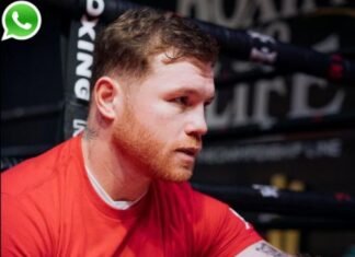 Canelo Alvarez Phone Number