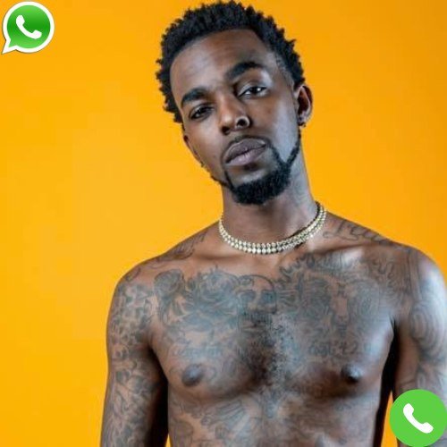 What is Roscoe Dash Phone Number?
