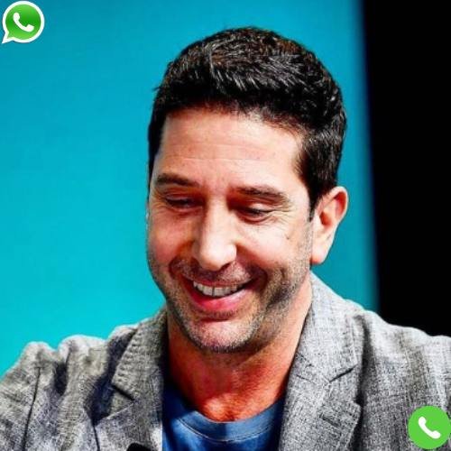 What is David Schwimmer Phone Number?