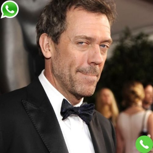 Hugh Laurie Phone Number