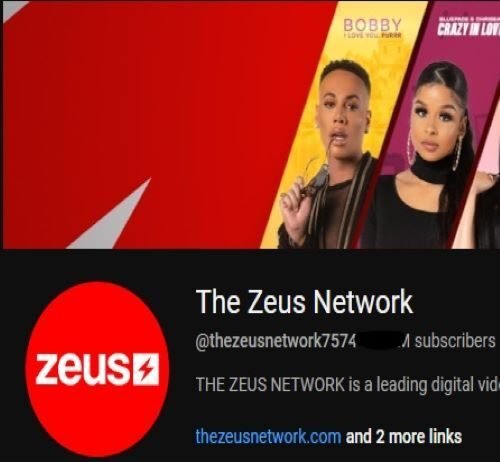 Zeus Network Net Worth