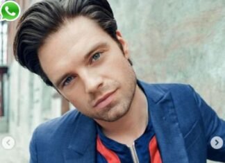 Sebastian Stan phone Number