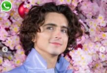 Timothée Chalamet Phone Number